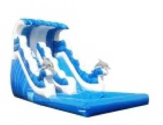 DOLPHIN RIDE WAVE SLIDE # 2