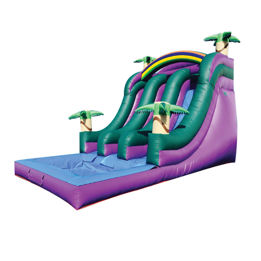 DOLPHIN THEME  FRONT LOAD DUAL LANE  WATER SLIDE