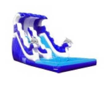 DOLPHIN RIDE WAVE SLIDE # 1