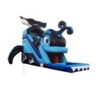 WHALE TAIL SLIDE WATER SLIDE